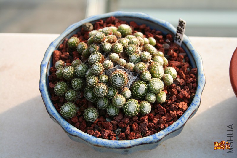 ��Ƭ 248_����.jpg