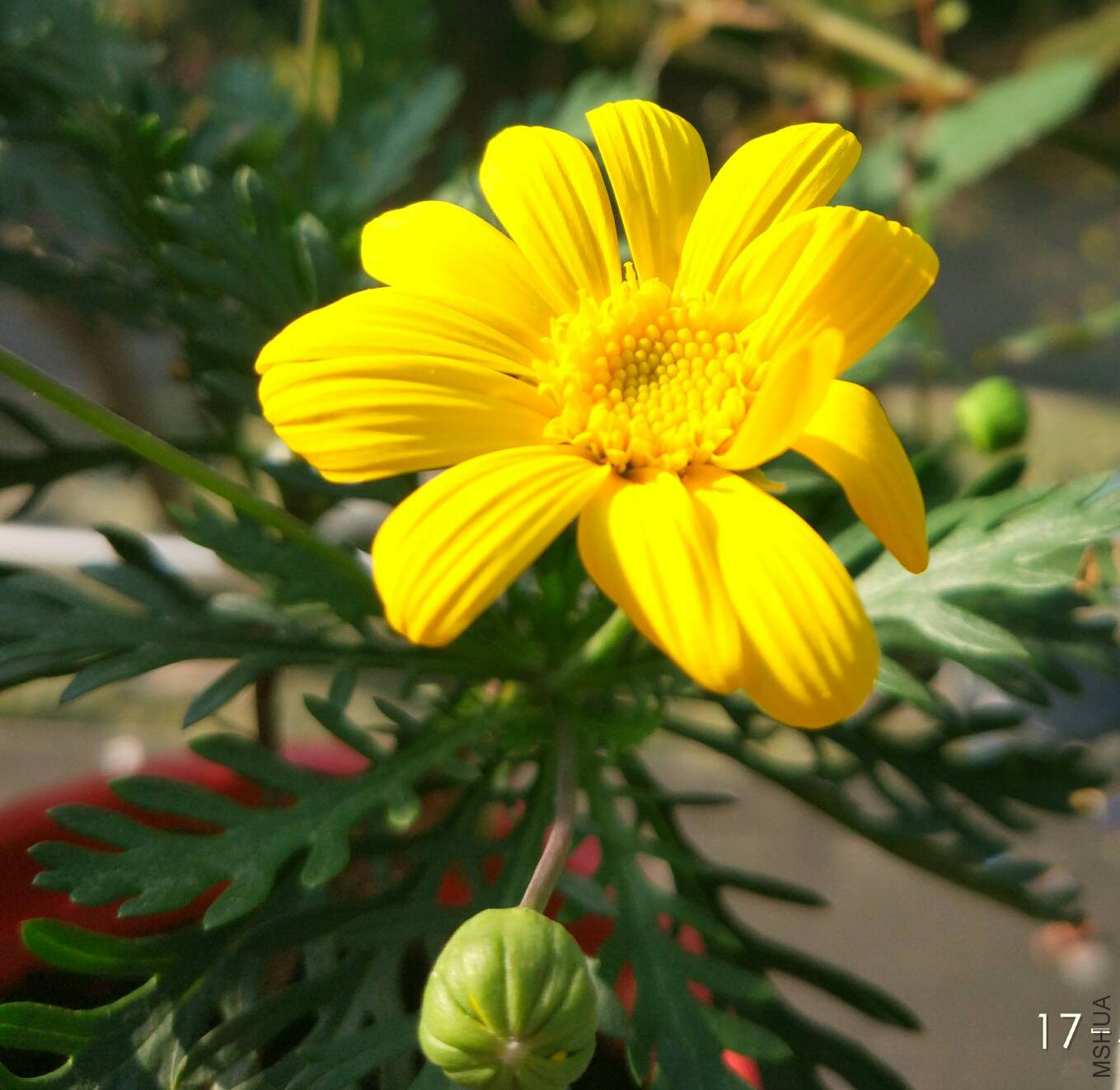151648p0sy2dlg9pgg2029.jpg
