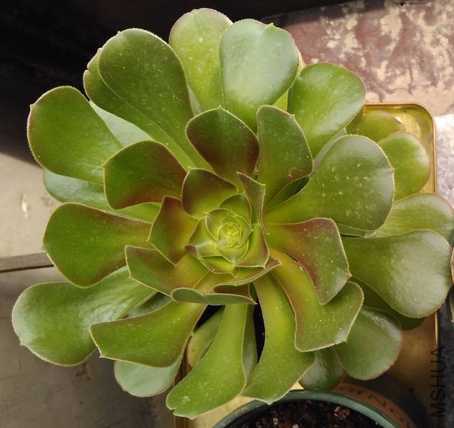 ¶��һ�ܣ�����˵�����ߣ�����ּ���