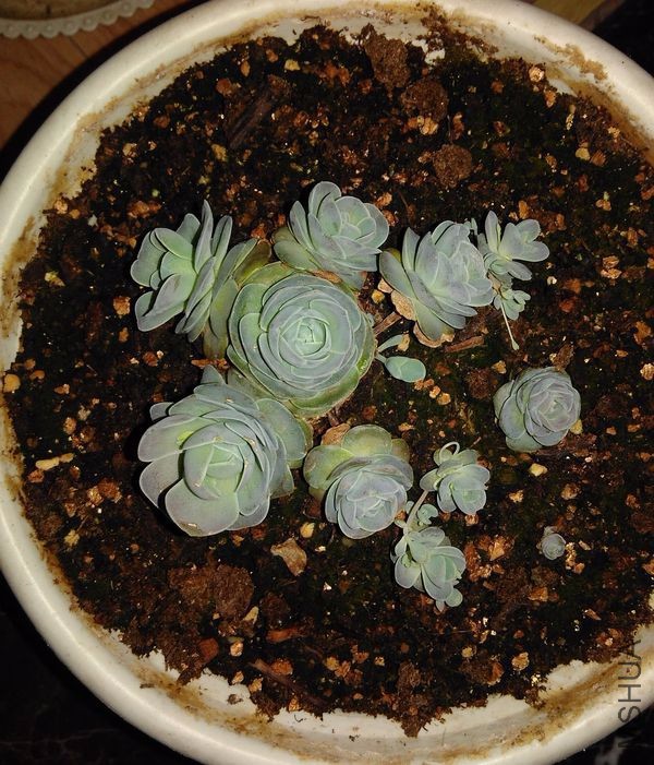 3�µ�