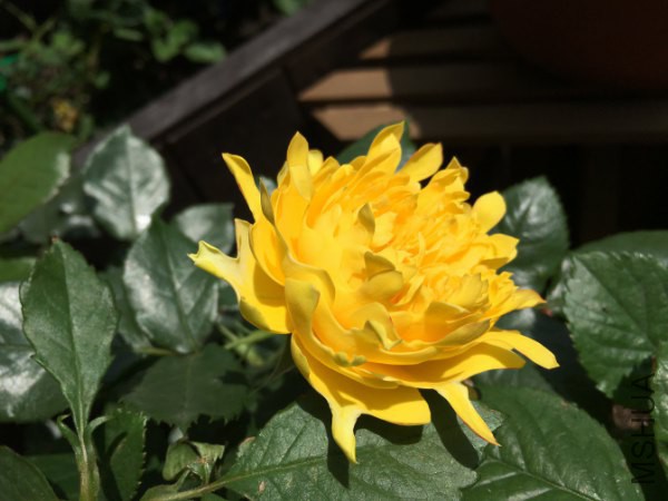 �̻�����