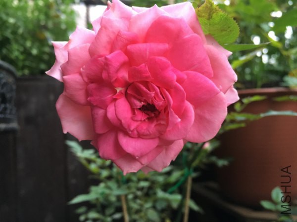 ���߷���