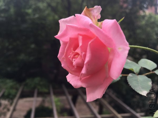 ���߷���