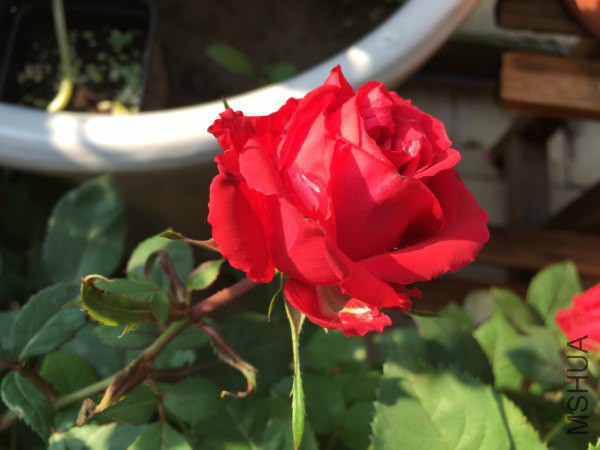 ���ؿ���