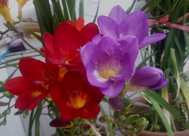 20170324_150803.jpg