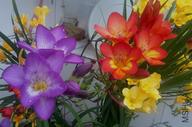 20170324_150932.jpg