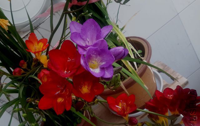 20170324_150942.jpg