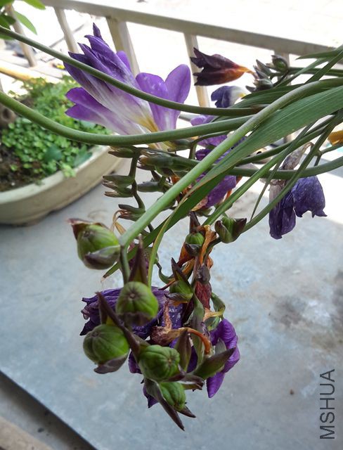 20170415_105925.jpg
