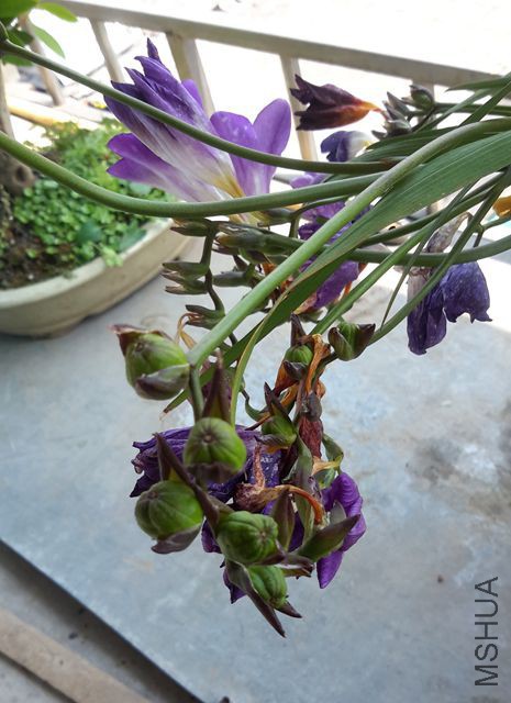 20170415_105926.jpg