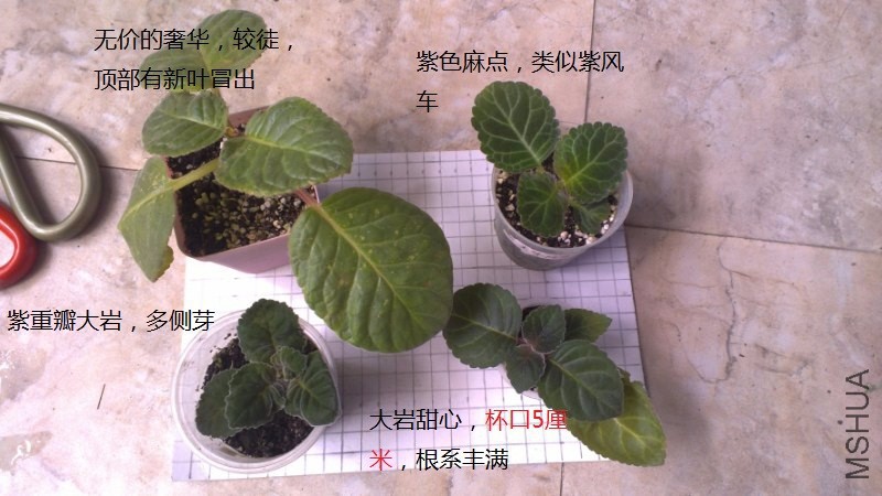17040032_800x450.jpg