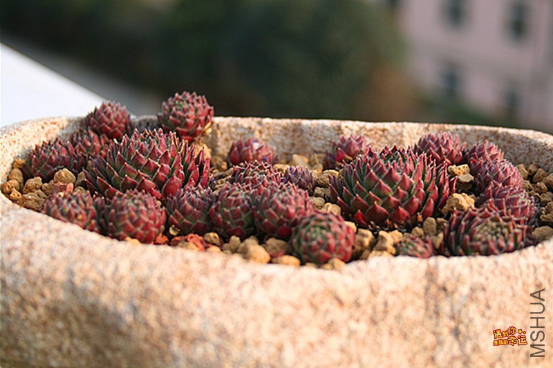 ��Ƭ 269_����.jpg