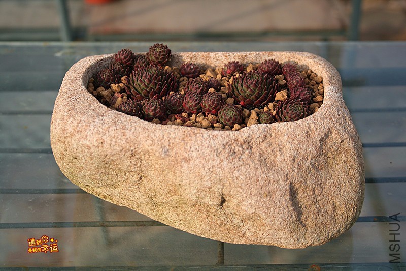 ��Ƭ 265_����.jpg