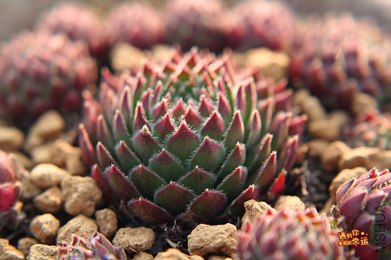 ��Ƭ 271_����.jpg