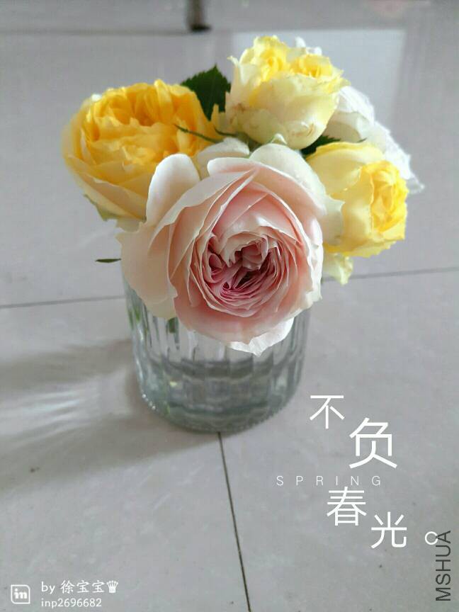 110808z1h9gxuhhxx0111t.jpg