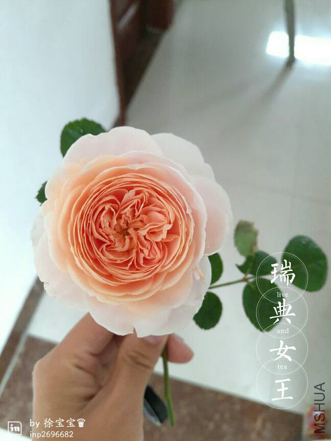 110815ihbdvoi5z2mddmq1.jpg