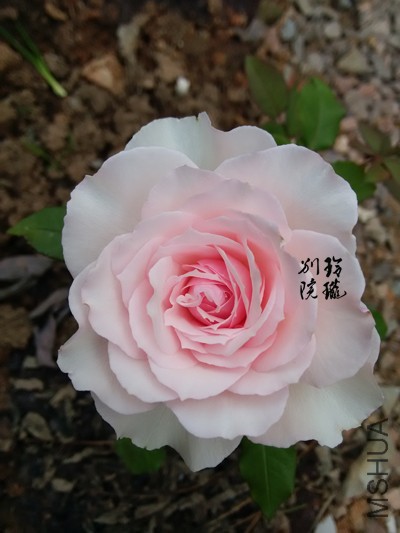 2.���D.jpg