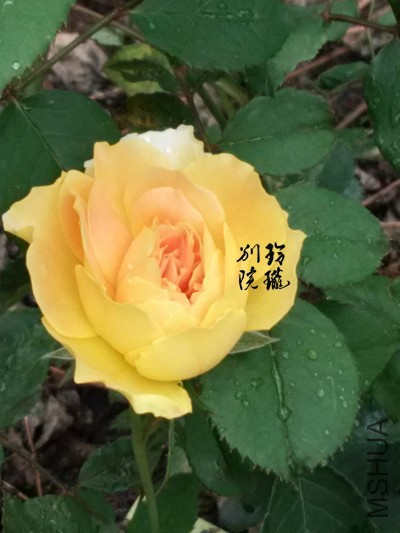 3.ħ�����.jpg