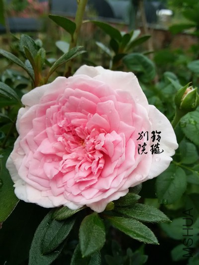 6.���ɾ���.jpg