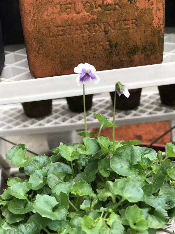 ��è��