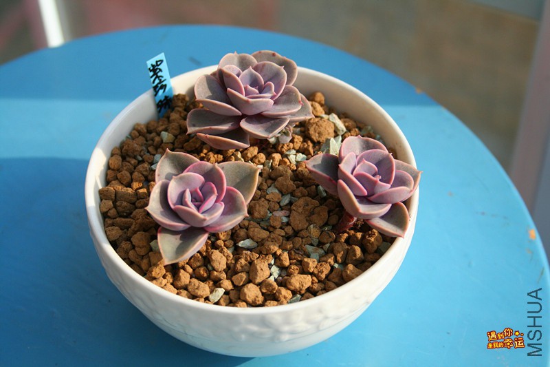 ��Ƭ 020_����.jpg