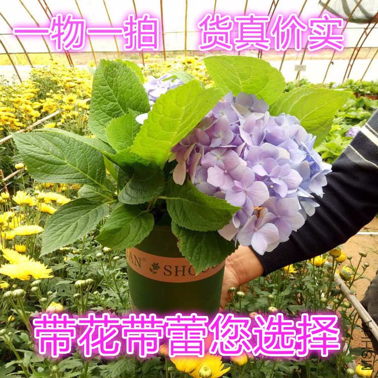 ΢��ͼƬ_20170410142026 ����_meitu_1.jpg