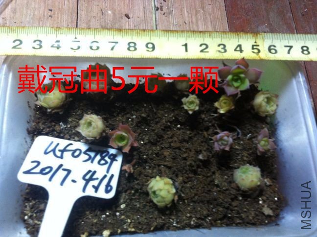 QQͼƬ20170416222436.jpg