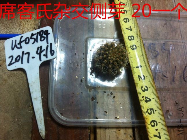 QQͼƬ20170416222505.jpg
