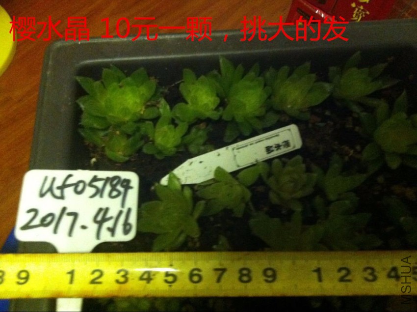 QQͼƬ20170416222459.jpg