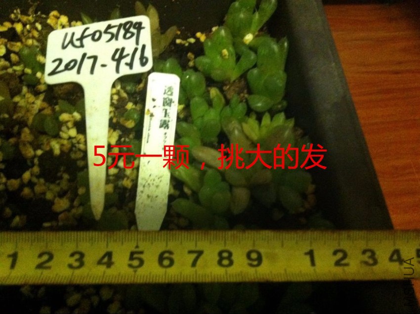 QQͼƬ20170416222440.jpg