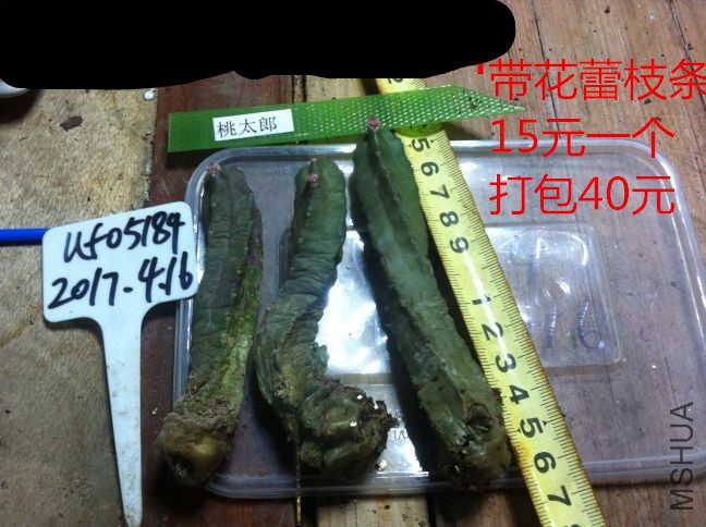 QQͼƬ20170416222455.jpg