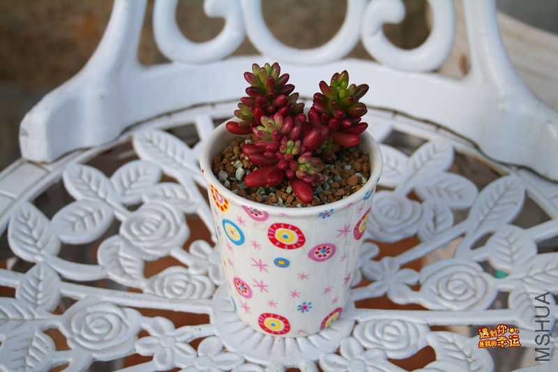 ��Ƭ 275_����.jpg