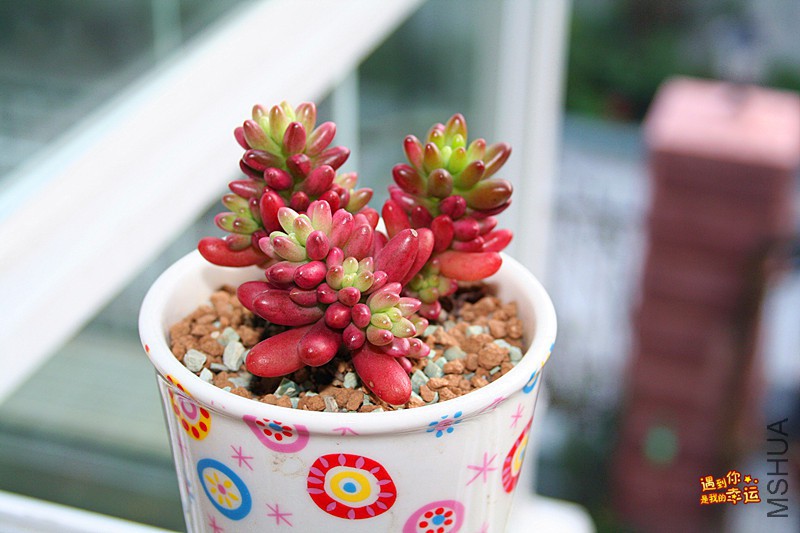 ��Ƭ 279_����.jpg