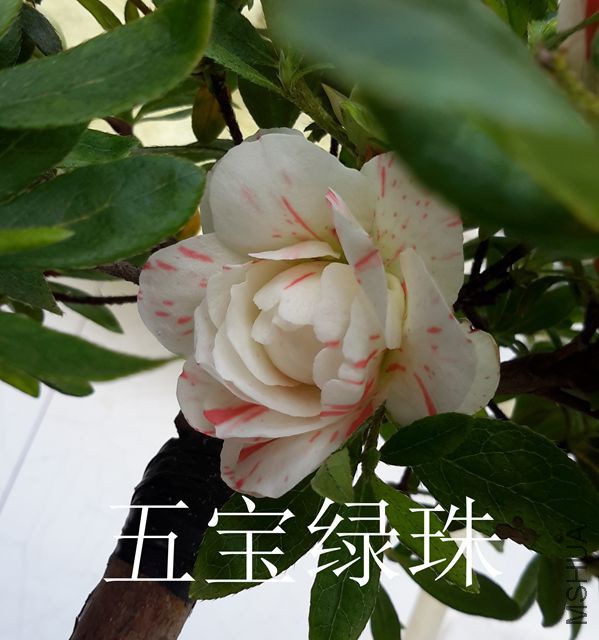 20170401_160821_����.jpg