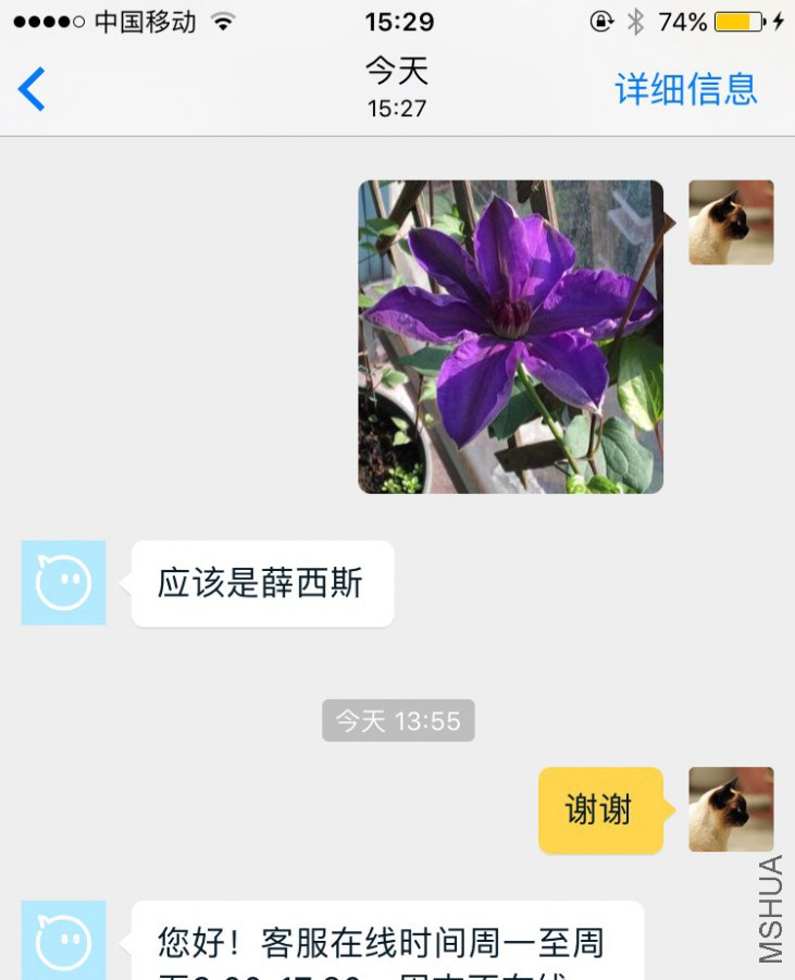 IMG_8990.PNG