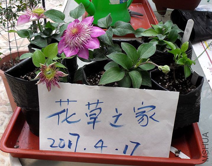010_����.jpg