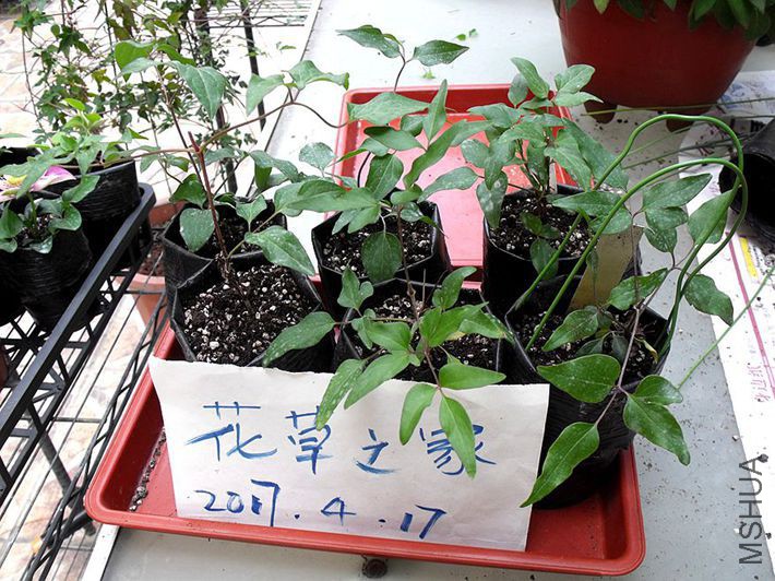 015_����.jpg