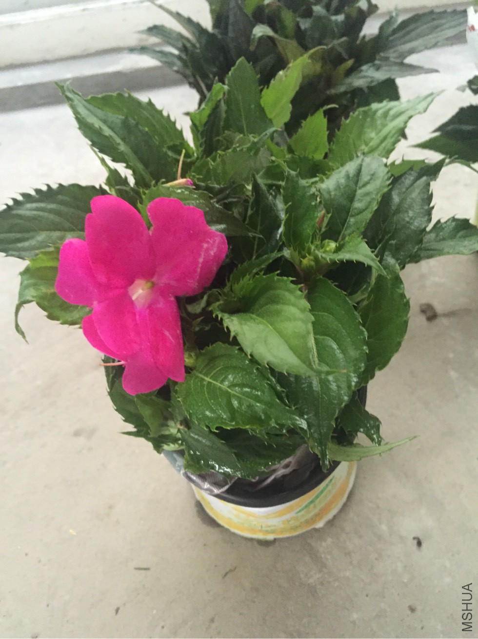 173627wne18x1n8wp7z8n2.jpg