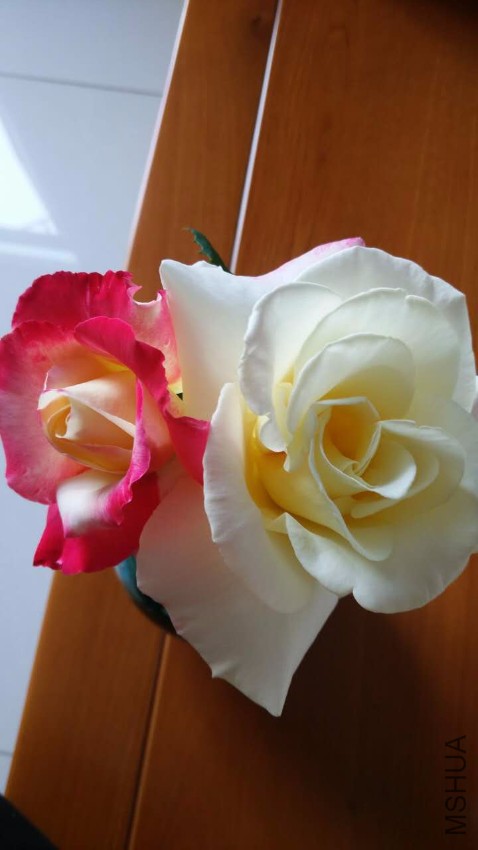 ΢��ͼƬ_20170418091119.jpg