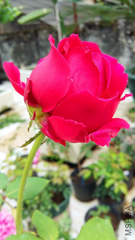 20170417_132049_����.jpg