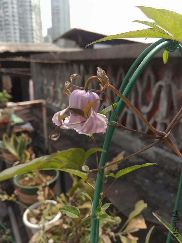 ΢��ͼƬ_20170418100445.jpg