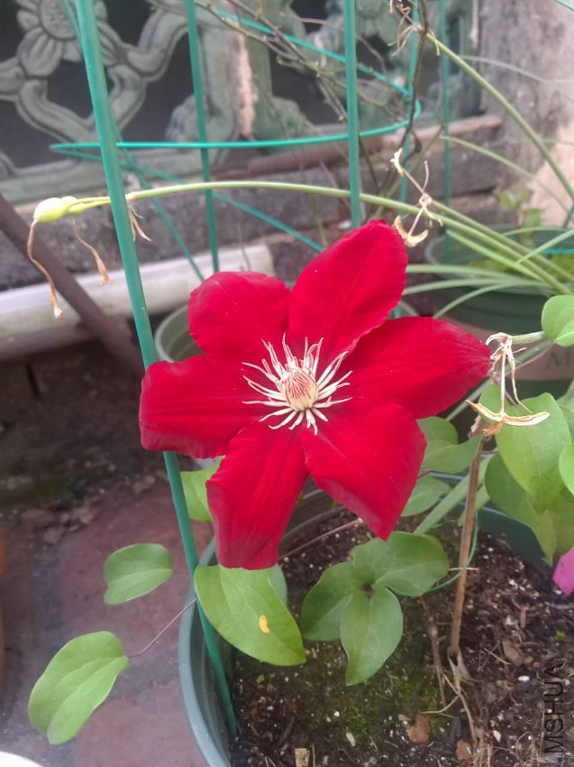 ΢��ͼƬ_20170418100003.jpg