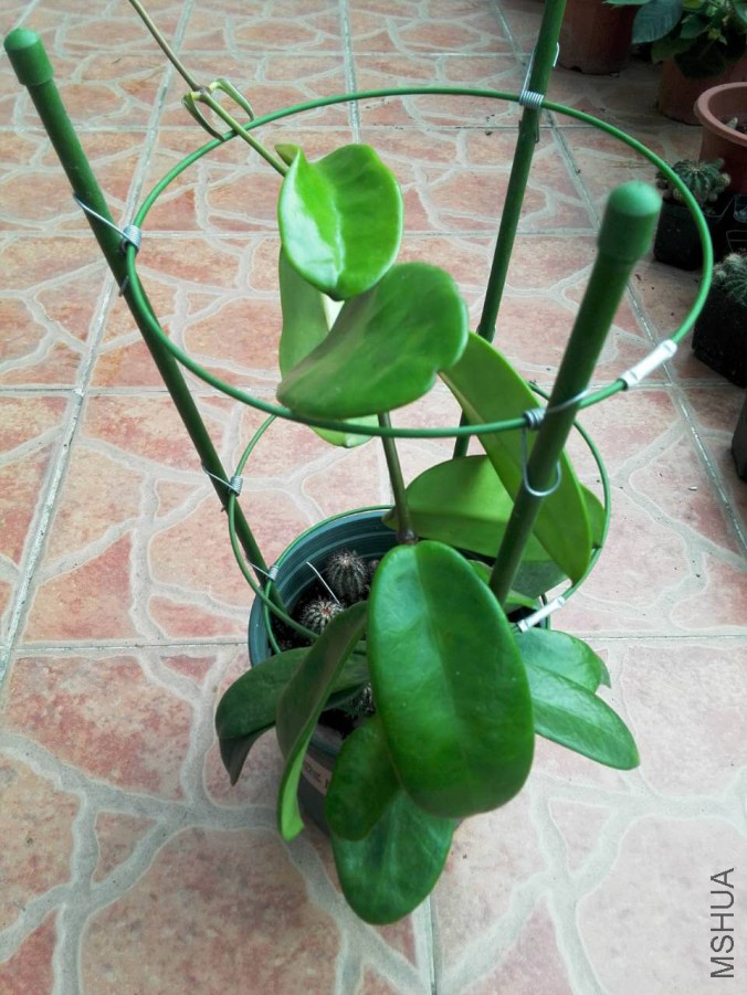 ΢��ͼƬ_20170418113621.jpg