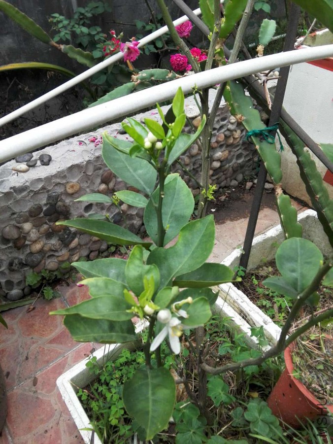 ΢��ͼƬ_20170418114401.jpg