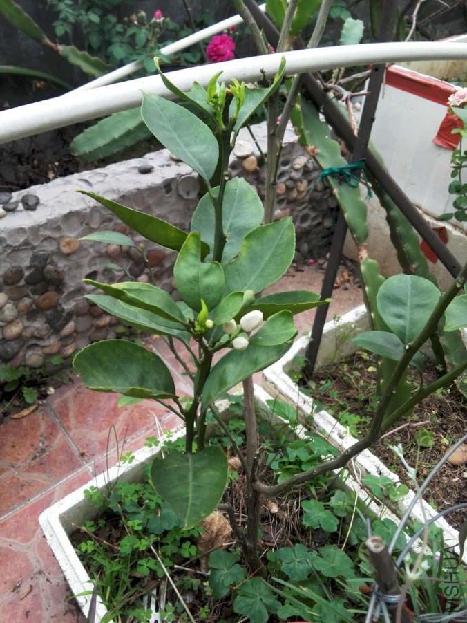 ΢��ͼƬ_20170418114431.jpg
