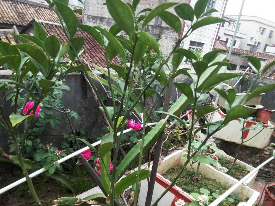 ΢��ͼƬ_20170418114434.jpg