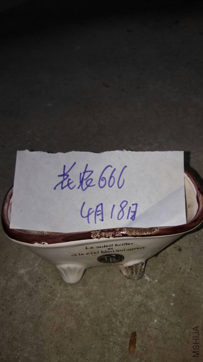 135709txclix1r3yyt0mkq.jpg