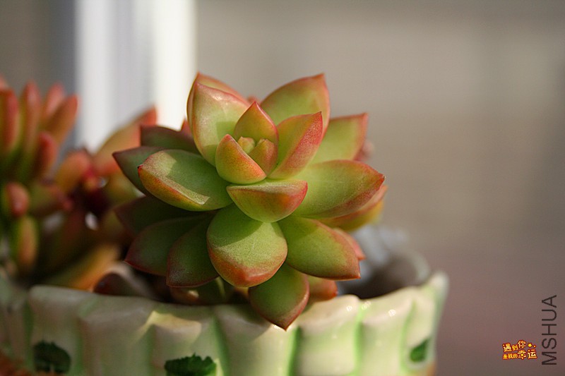 ��Ƭ 028_����.jpg