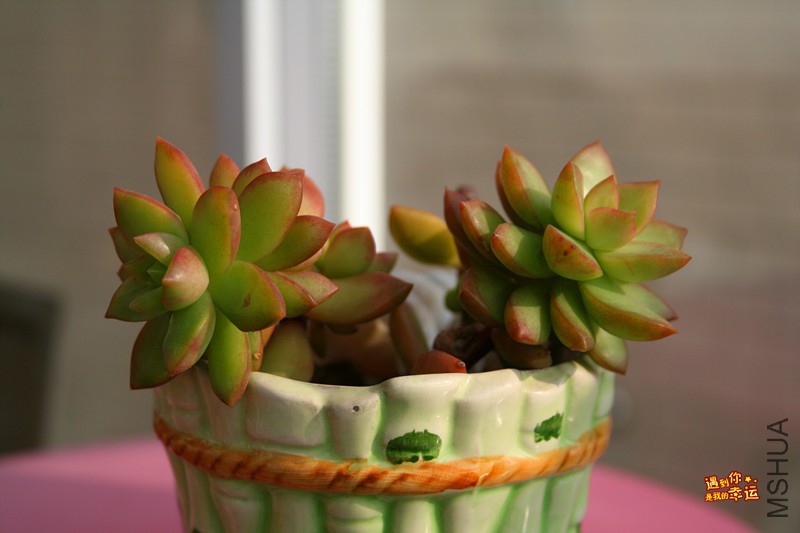 ��Ƭ 025_����.jpg