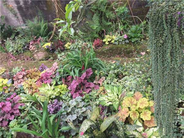 ������.jpg