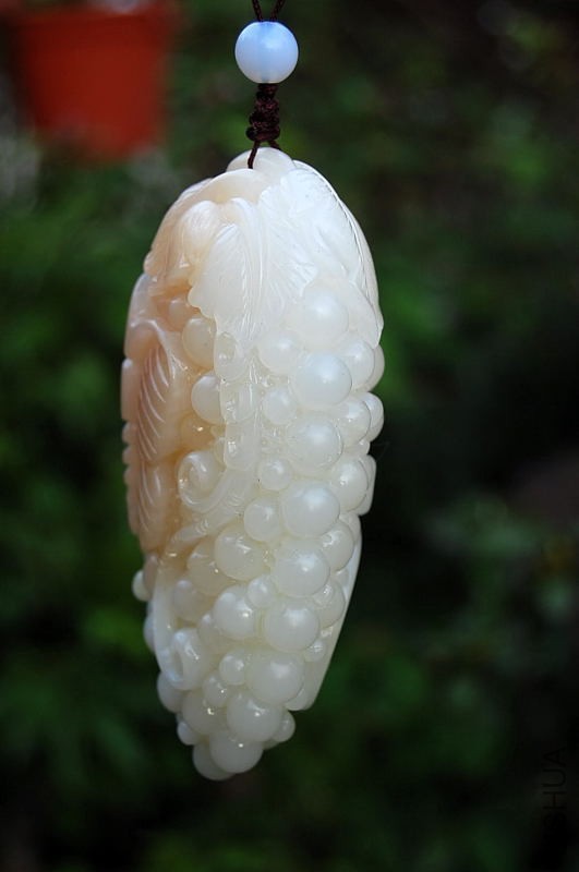 DSC_28050084.JPG